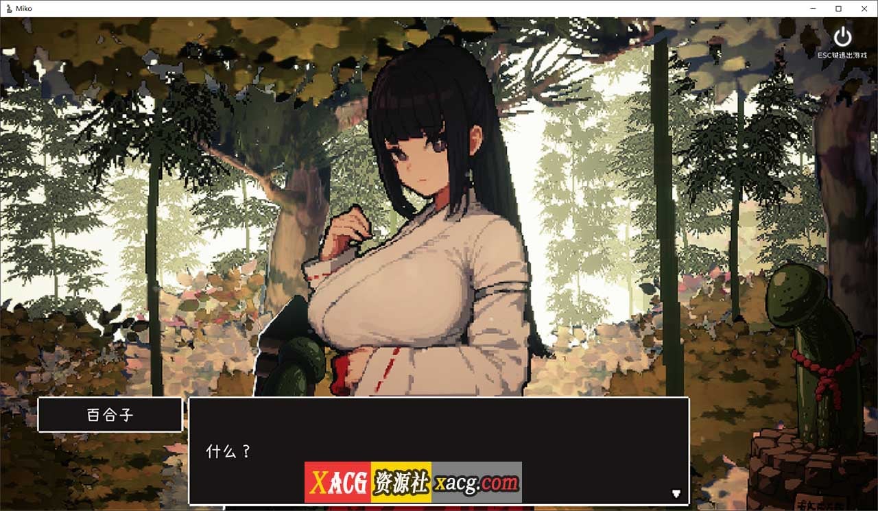 11075713743